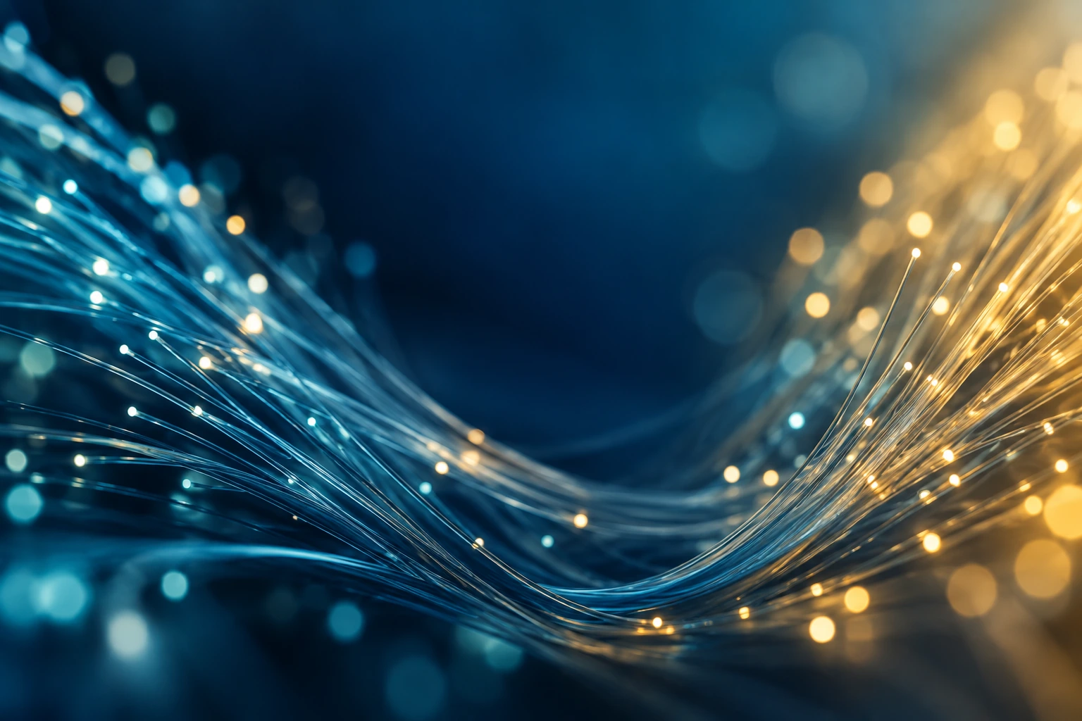 Illustrative macro photograph of fiber-optic strands representing connected digital services