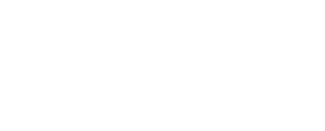 Finzly logo