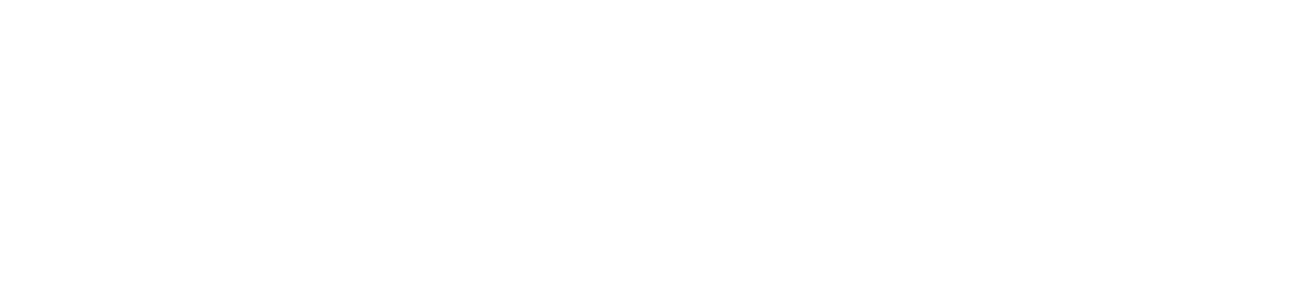 TruVideo logo