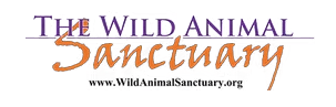 The Wild Animal Sanctuary 